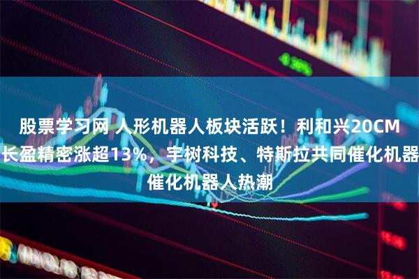 股票学习网 人形机器人板块活跃！利和兴20CM涨停，长盈精密涨超13%，宇树科技、特斯拉共同催化机器人热潮