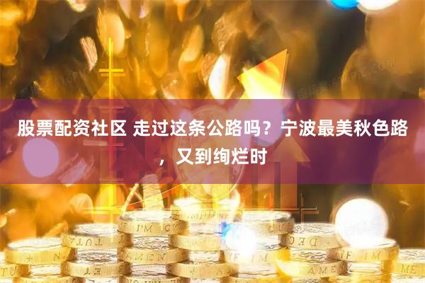 股票配资社区 走过这条公路吗？宁波最美秋色路，又到绚烂时
