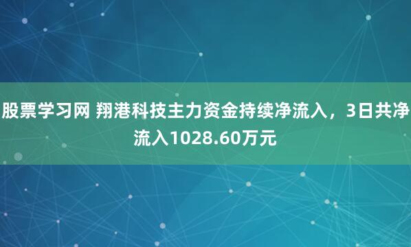 股票学习网 翔港科技主力资金持续净流入，3日共净流入1028.60万元