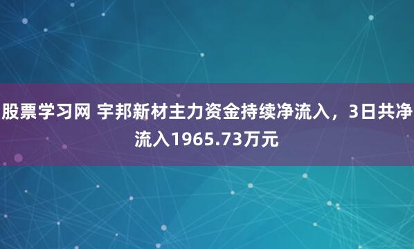 股票学习网 宇邦新材主力资金持续净流入，3日共净流入1965.73万元