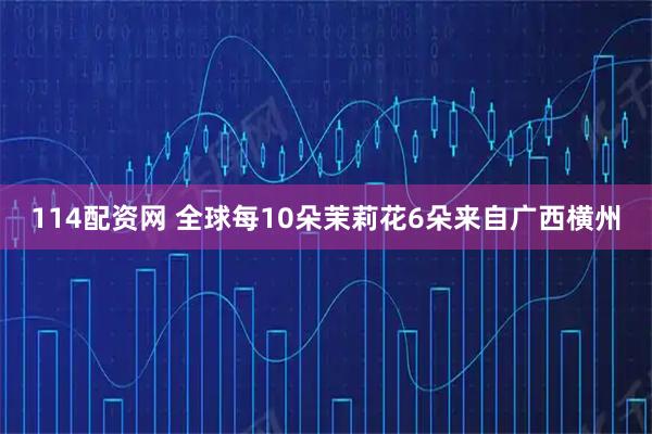 114配资网 全球每10朵茉莉花6朵来自广西横州