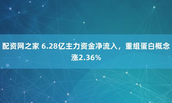 配资网之家 6.28亿主力资金净流入，重组蛋白概念涨2.36%